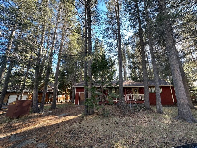 Building Photo - Hidden Gem in Peaceful Forest Setting- Pet...
