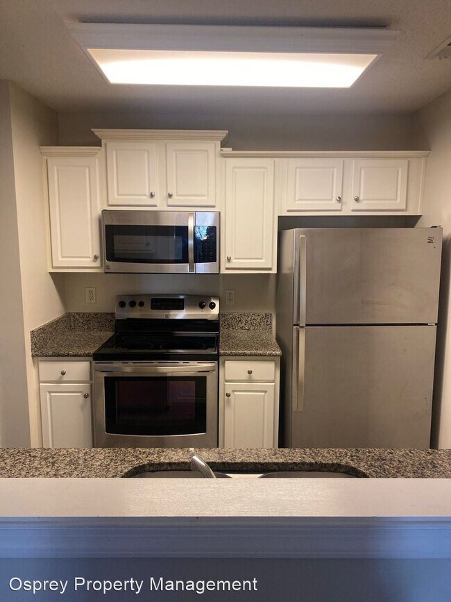 Building Photo - 2 br, 2 bath House - 209 Sandy Beach Court