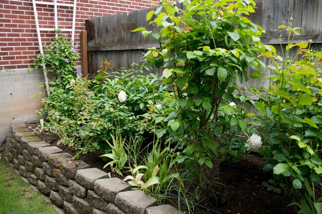 Patio interior - 420 S 25th Ave
