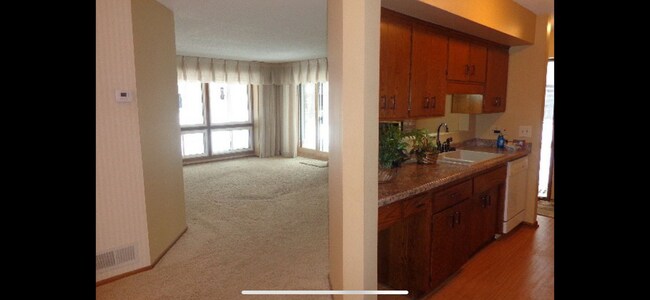 One side of kitchen and living room - 1829 Zanzibar Ln N