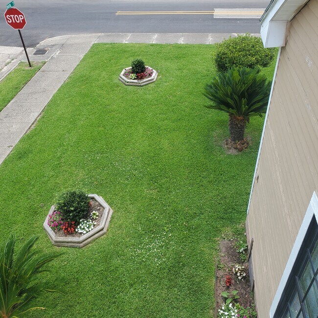 Foto del edificio - 314 Julia St