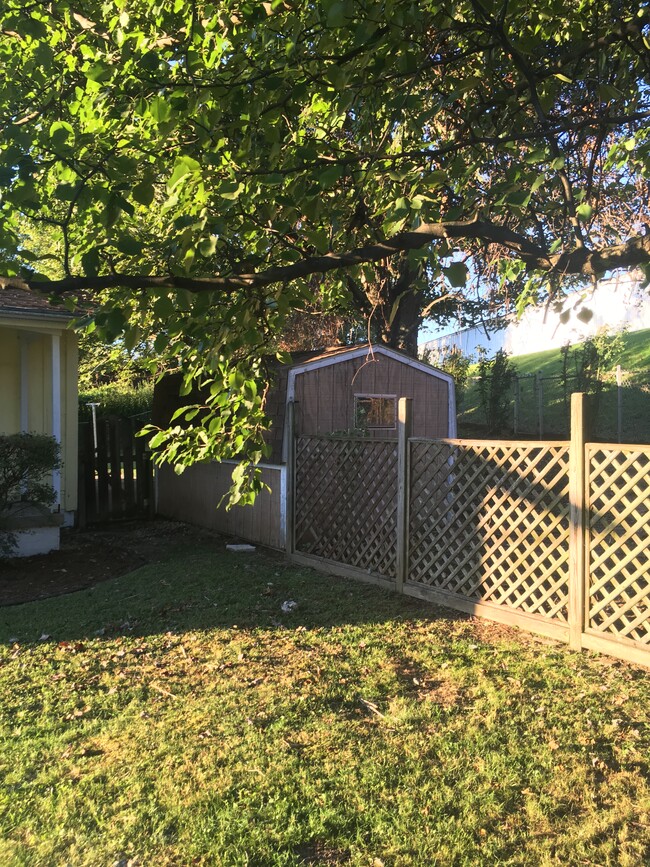 Side entry & Shed - 463 Lawnview Cir