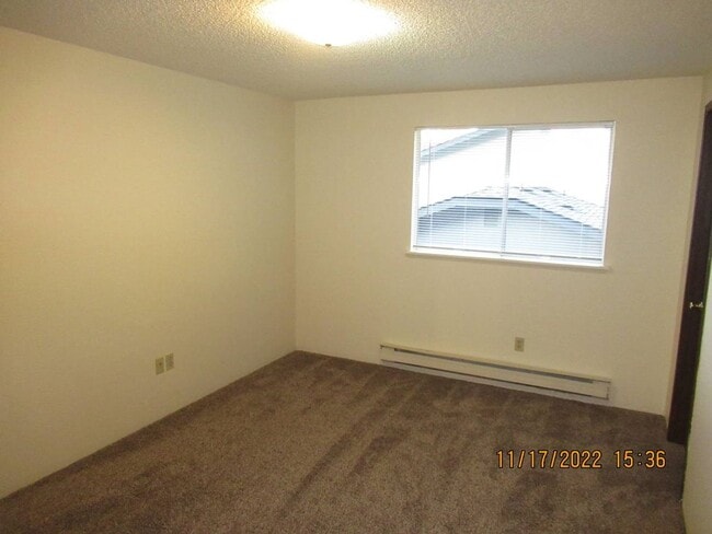 Building Photo - CUTE little 1 bdrm apartment !