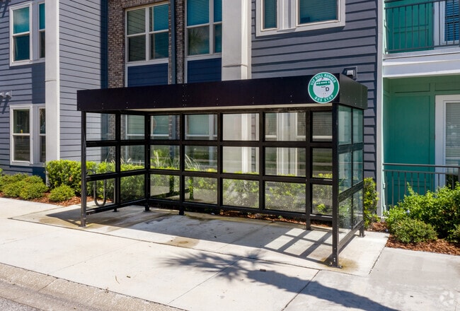Bull Runner Bus Stop - The Standard at Tampa