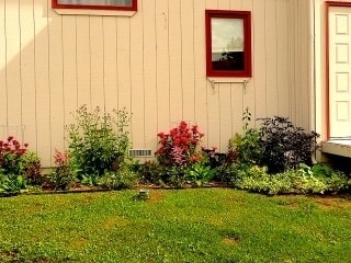 Photo - Beautiful spacious ground level 2 bed 1 ba... Townhome