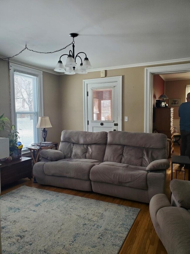 Living room - 61 Maple Ave