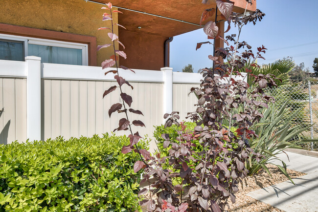 Building Photo - Addisyn Park Apartments