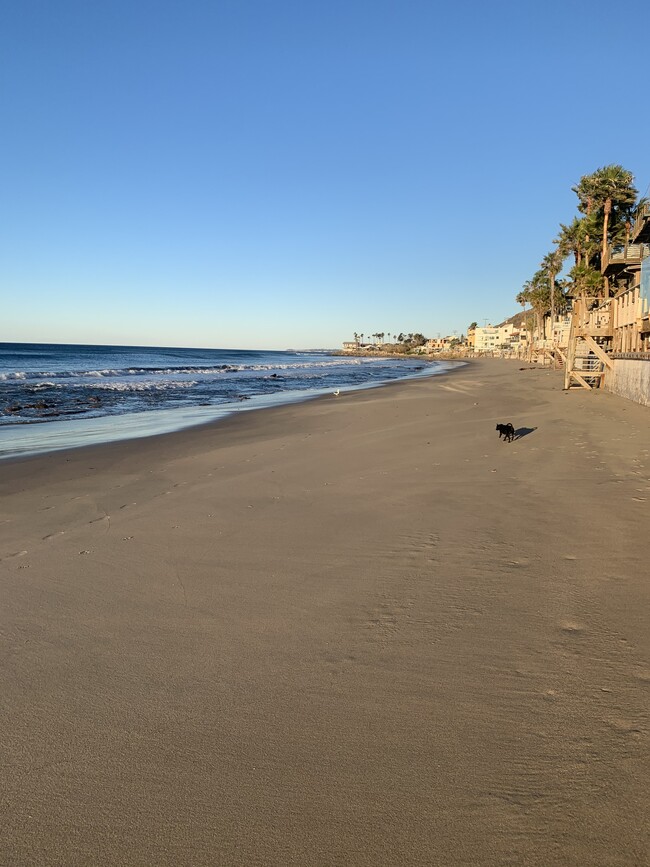 Swim time - 20852 Pacific Coast Hwy