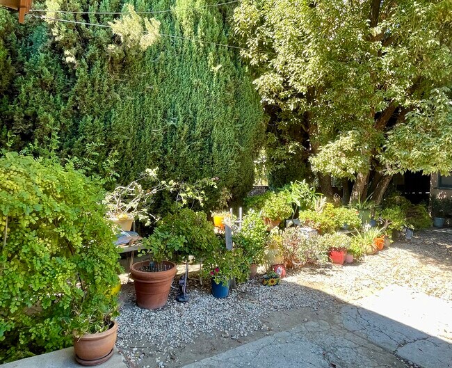 Hermoso jardín - 614 N Atlantic Blvd
