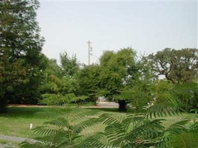 Building Photo - 11690 Edgewood Dr