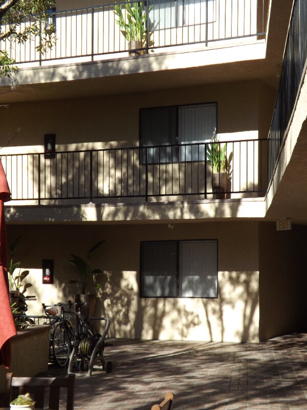 2437 Corinth Ave Unit 302, Los Angeles, CA 90064 Room for Rent in Los