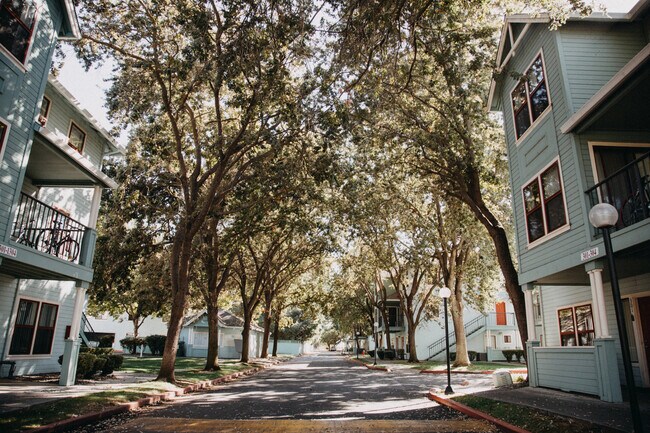 Swooping sombra y paisaje - Arlington Farm Apartments