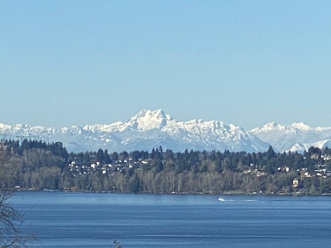 From living room to the Olympics across Lk Washington - 1005 State St S