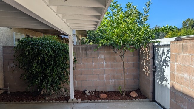 Lemon Tree, back patio. - 10125 De Soto Ave