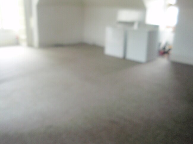loft w/Washer/dryer - 310 W College St