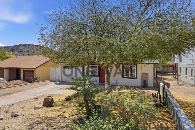Photo - 1329 E Cholla St House