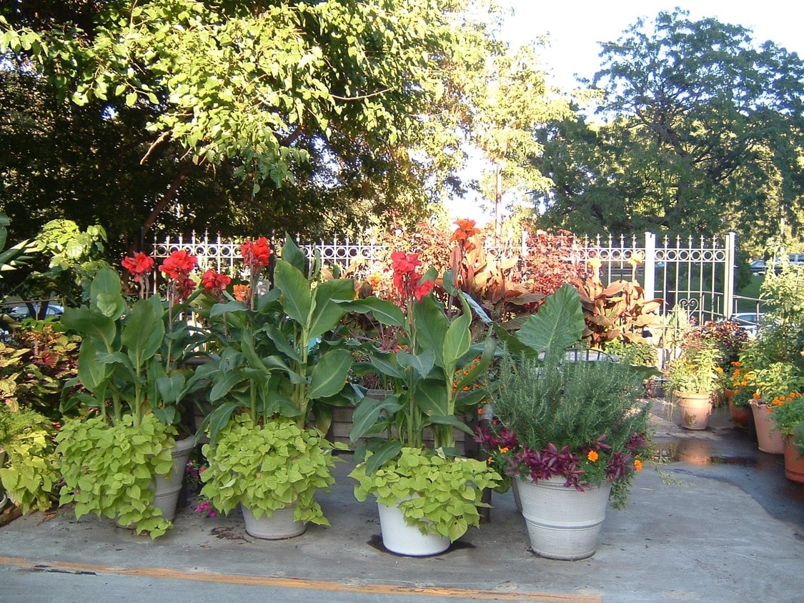 Garden Area - 4200 N Marine Dr