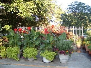Garden Area - 4200 N Marine Dr