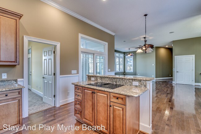 Building Photo - 4 br, 4.5 bath House - 4931 S. Island Drive