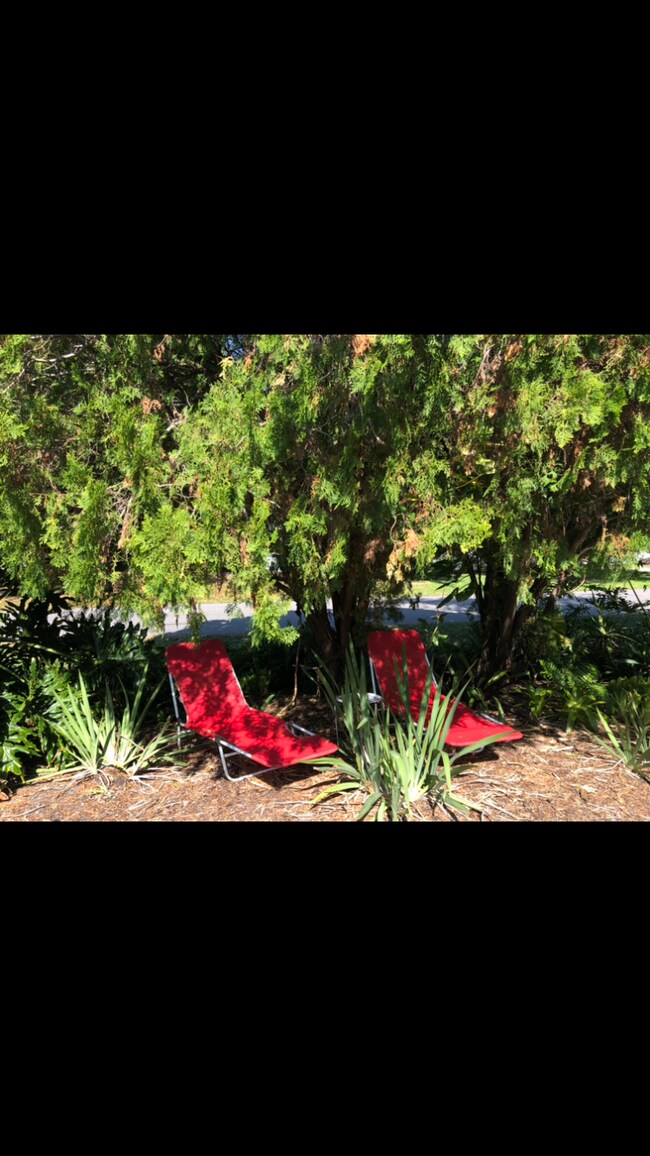 Las sillas de salón ofrecen una cómoda perspectiva de la naturaleza. - 5703 Murdock Ave
