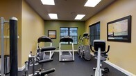 This fitness center is designed to provide a comprehensive workout environment within a single-level layout. The room is finished with warm olive-green accent walls and neutral tones, creating an energizing yet focused atmosphere. Overhead, flush-mounted panel lights ensure the space is brightly and evenly lit throughout.

The facility is outfitted with a solid selection of exercise equipment, including treadmills, an elliptical cross-trainer, a stair climber, and a weight/resistance machine, catering to both cardiovascular and strength training needs. The equipment is arranged to allow comfortable movement between stations. The flooring consists of durable dark rubber matting, a practical choice that provides cushioning and stability during workouts.

Natural light filters in through multiple dark-framed windows along the back and side walls, offering views of the surrounding exterior. A framed artwork piece adorns one wall, adding a modest decorative touch to the otherwise functional space. The overall design prioritizes utility and accessibility, making it a practical and well-appointed facility for everyday fitness use.
