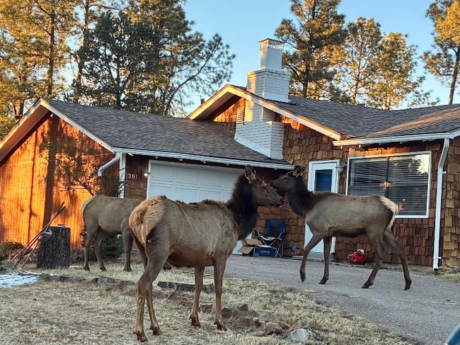 Building Photo - 301 La Luz Ln