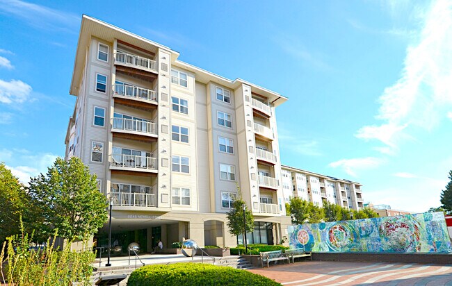 8045 Newell St Silver Spring Md 20910 Apartments Silver Spring Md Apartments Com