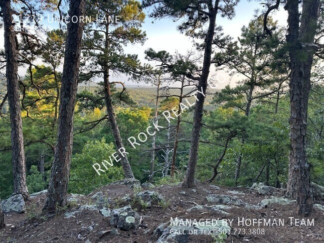 Foto del edificio - 21219 Unicorn Ln