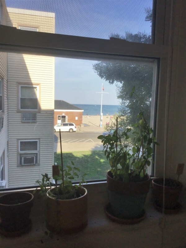 Foto del edificio - 71 Revere Beach Blvd