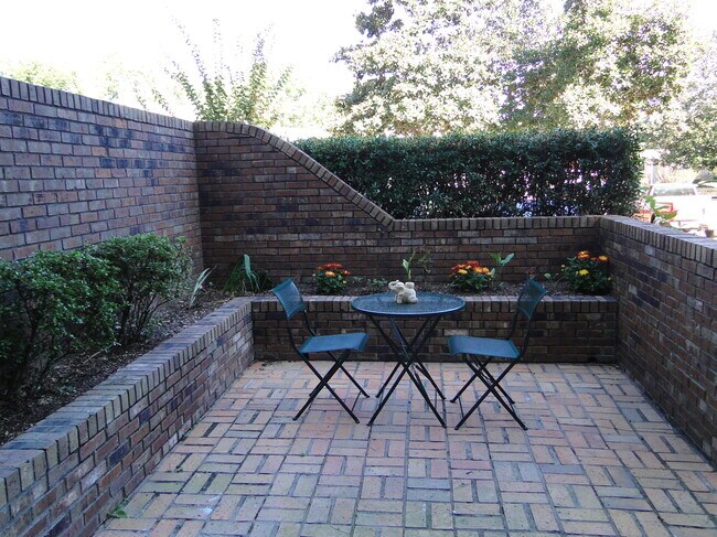 courtyard - 4615 Calle Arenoso