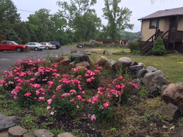 Foto del edificio - 138 Honness Ln