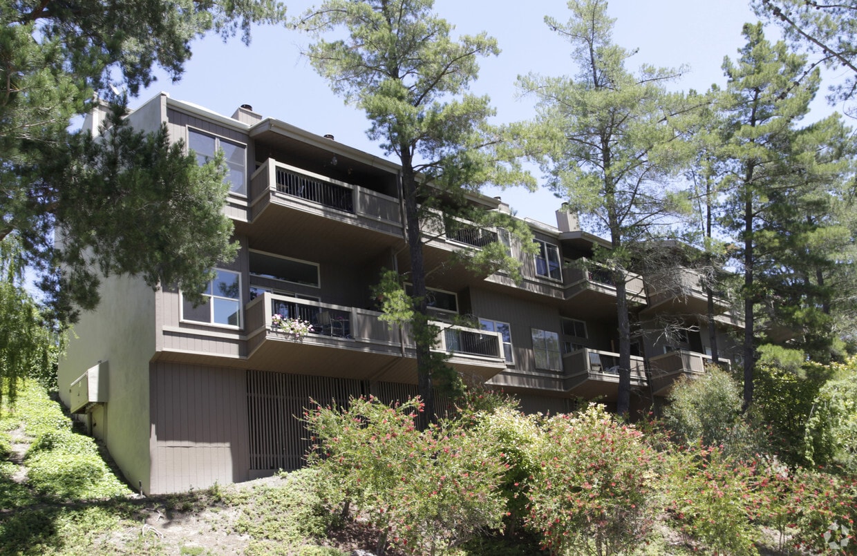 Moraga Terrace Apartments in Moraga, CA