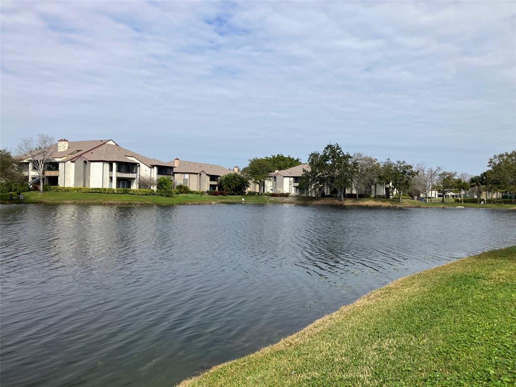 10263 Gandy Blvd N Unit 212, Saint Petersburg, FL 33702 Condo for