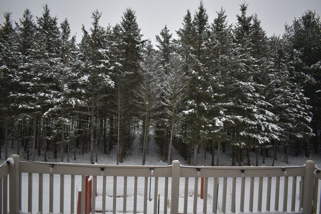 Foto del edificio - 6587 Rolling Hills Dr