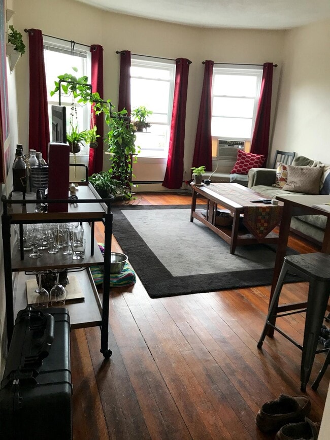 Foto del edificio - 3 Calvin St