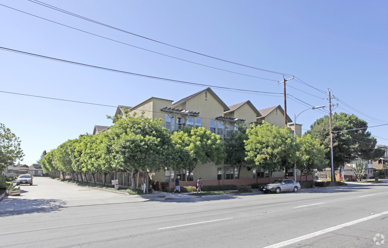 Primary Photo - Arbor Terraces