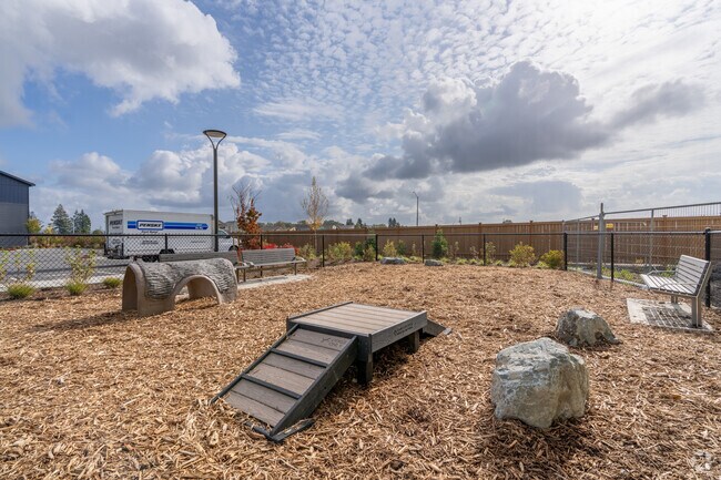 Parque para perros - Motto Apartments