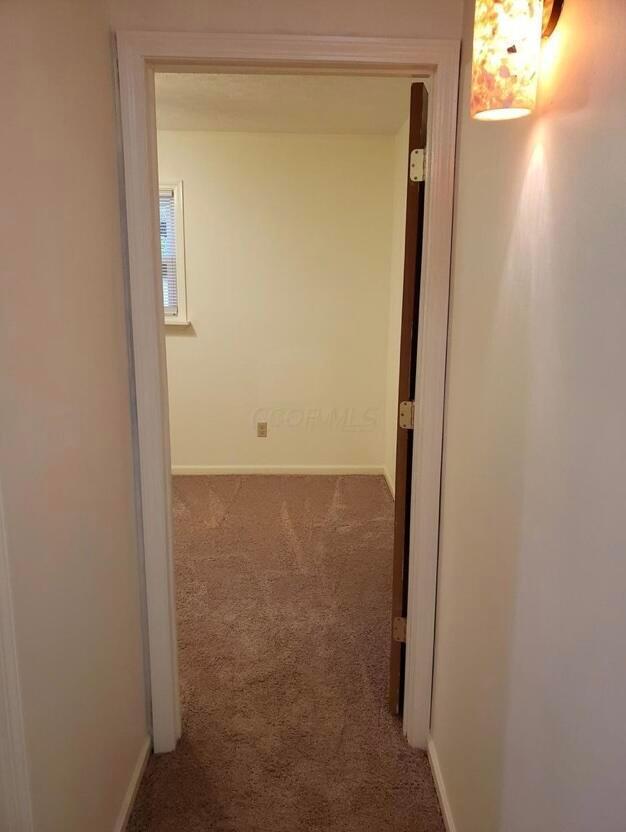 Foto del edificio - 208 Melody Ln
