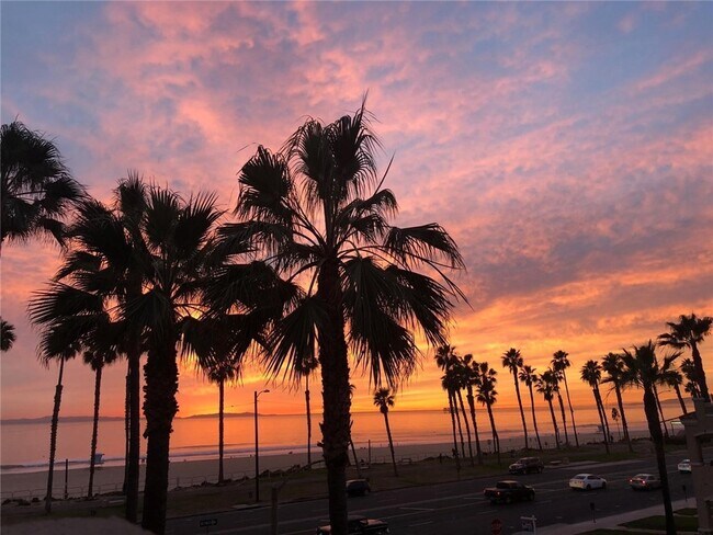 Foto del edificio - 1516 Pacific Coast Hwy