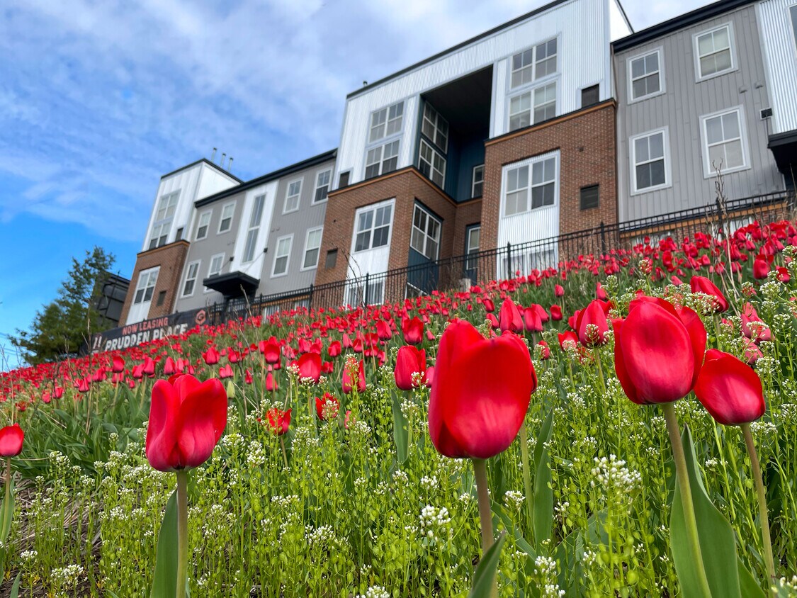 Prudden Place 620 May St Lansing, MI