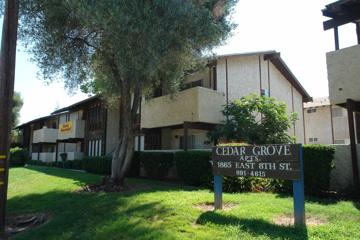 Primary Photo - Cedar Grove Apartments