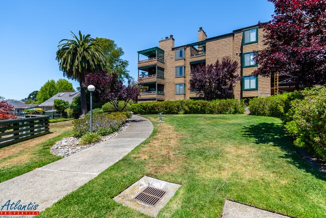 Foto del edificio - 320 Soquel Ave