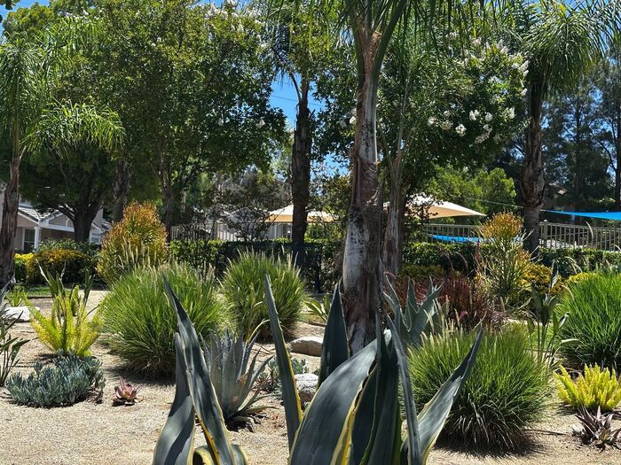 Foto principal - Tucked away in a peaceful Valencia communi...