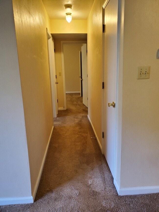 Hallway - 1727 Memorial Ave SW