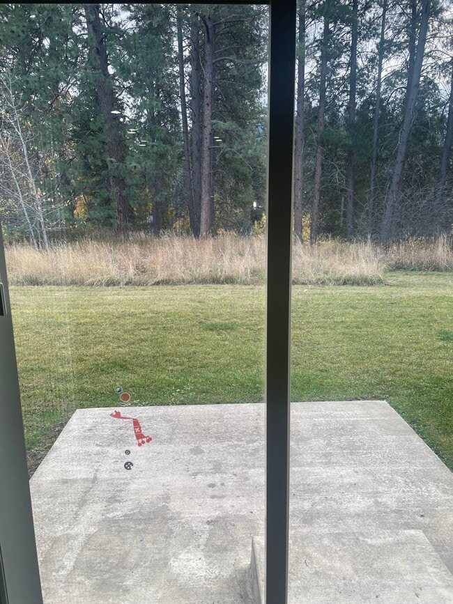 GROUND LEVEL TREES - 1629 4th Ave W