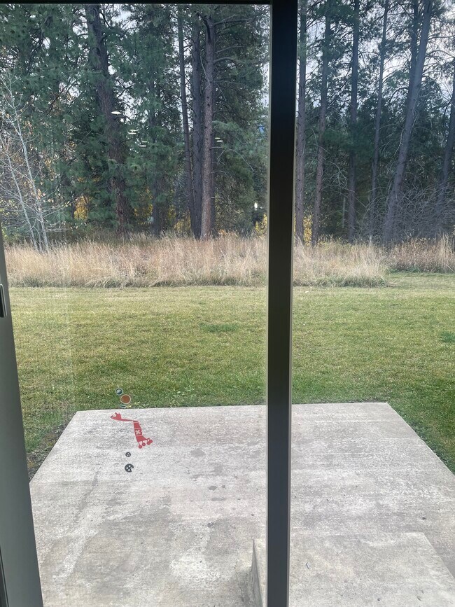 ÁRBOLES A NIVEL DEL SUELO - 1629 4th Ave W