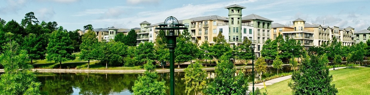 The Woodlands city image