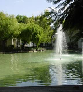 Foto del edificio - 905 W Middlefield Rd