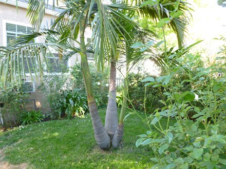 Foto del edificio - 14645 Moorpark