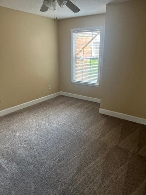 Building Photo - 109 Lantana Ct